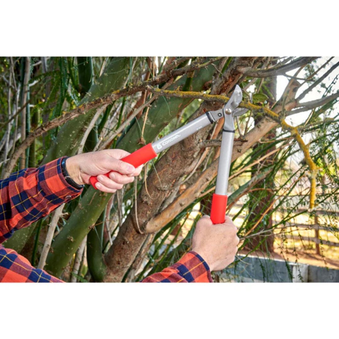 ClassicCUT Two Handed Pruner – Corona – 3/4″